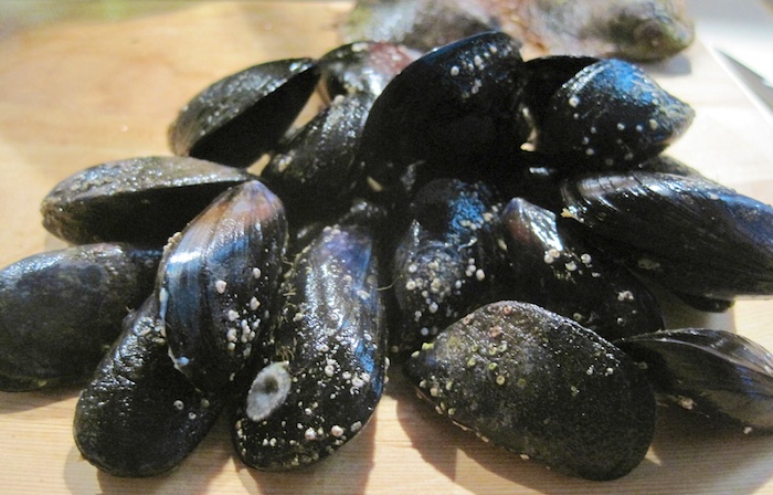 mussels