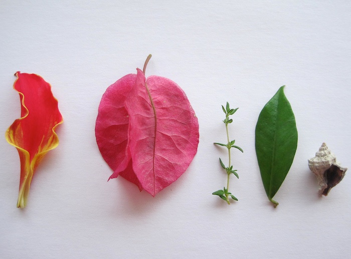 flower arrangement