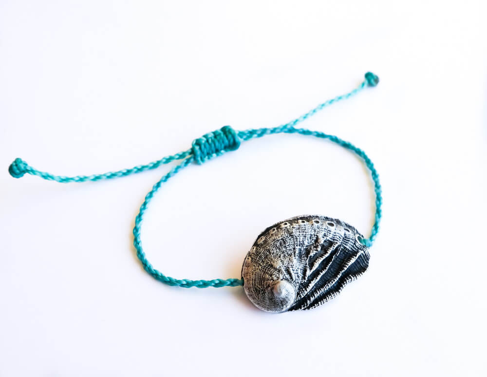 Aphrodite's ear seashell worn as a bracelet.