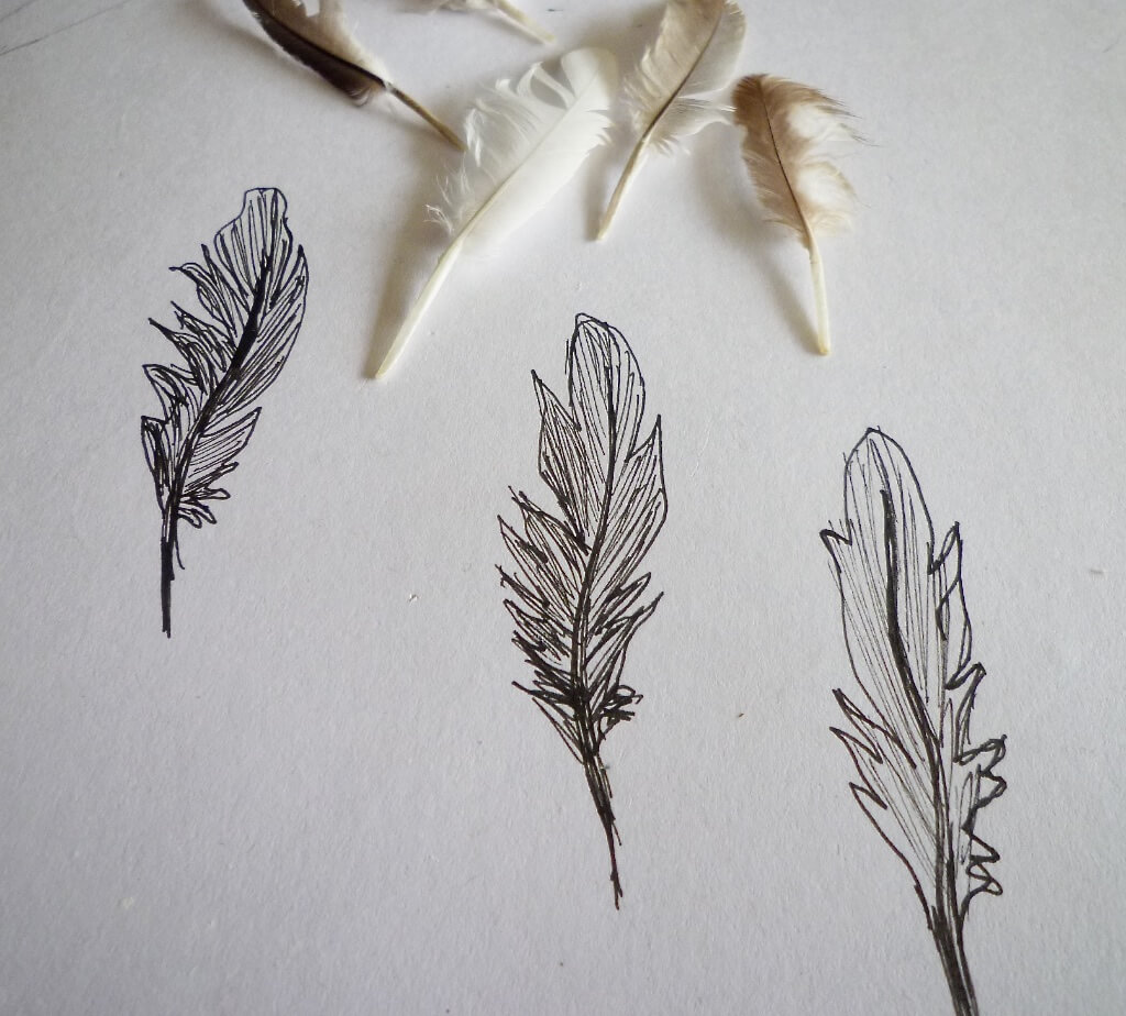 I think I'm starting to develop a new obsession with feathers! These were collected recently during my morning runs.