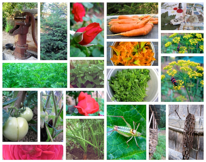 vegetables, flowers